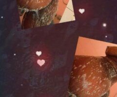 Long Beach Female Escort — Incalls, Outcalls & FaceTime - Image 4