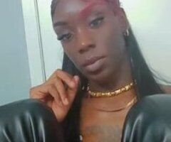 Pensacola escorts - Miss Niagara Falls — Pensacola Female Escort (Calls Only)
