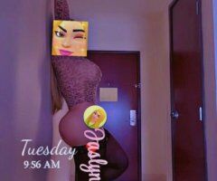 San Antonio Female Escort — Face-to-Face Verification, Incall - Image 11