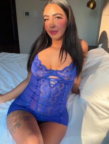 Lucky (25) Upscale IC in Lynnwood — booked for March 26–28 - 1