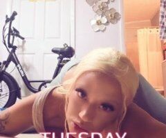 Heaven (West Palm Beach) — GFE, BBBJ, VIP sessions + more - Image 4