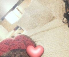 Greensboro NC Female Escort — Incalls Only (21) - Image 4