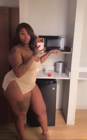 Louisville KY Female Escort — quick “hh or hour” visit - 1