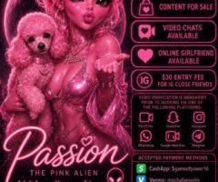 Shreveport Petite Pink Kitty Catch Me If You Can — Deep Throat - Image 6
