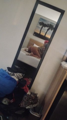 Ocala FL Female Escort — Strawberry Wet In-Calls/Outcalls - 1