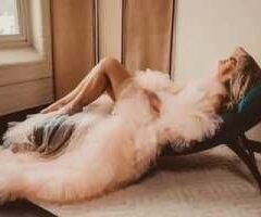 South Coast escorts - Nitas (62) — South Coast MA Female Escort (GFE, Dinner Dates)