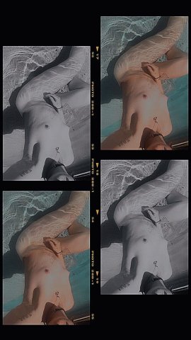 Phoenix Arizona Fun-Sized Personality Escort - 1