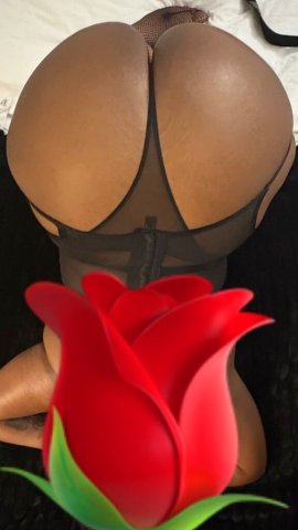 Tampa Female Escort — new in town incall only, super wet 100 QV special - 1