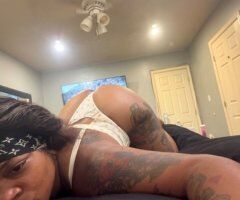 Philadelphia escorts - Philadelphia PA Independent Incall Only Female Escort