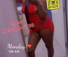 Exotic Fantasy Female Escort — Monroe, Louisiana - Image 4