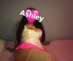 Brooklyn Female Escort — Incalls Only - Image 4