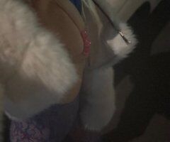 San Jose Female Escort — Outcalls & Cardates, Cash Only - Image 11