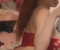 Memphis TN Incall/Outcall Female Escort - Image 3