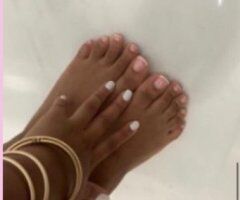 Fort Myers escorts - Sexy Latina 24 Female Escort — big booty body (Fort Myers)