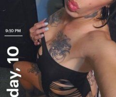 South Bend escorts - South Bend Female Escort — Italian & Lebanese Playmate (Cream)