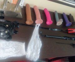Albany Incall Only Female Escort — In-Person Toy Shows & Full Body Massages - Image 2