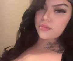 San Diego escorts - San Diego CA Female Escort — $120 Specials & Independent In-Call Service