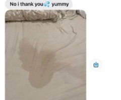 Chicago In-Calls & Out-Calls Female Escort — 24/7 - Image 4