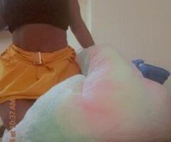 Daytona Beach Female Escort — Incall & Outcall, BJ Special Ava - Image 5