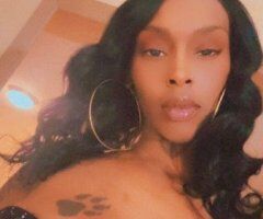 Houston, TX Discreet Female Escort (Incall Available) - Image 2