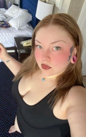 Hudson Valley NY Escort (28) — Incall, Outcall, Car Fun - 1