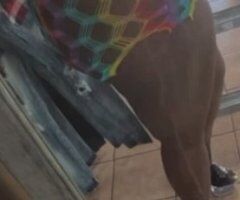 Chocolate Female Escort (Outcalls Only) — Stockton, CA - Image 2