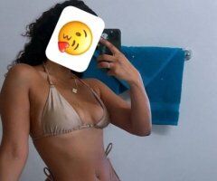 Latina Female Escort in Tampa, FL — Incall - Image 2