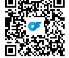 Dallas Qv & HHR/HR Female Escort — Video Verification - Image 2
