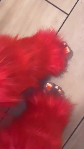 Las Vegas Female Escort — Two Girl Specials - 1