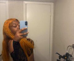 Dallas TX Female Escort — Incall Services (No Bare) - Image 3