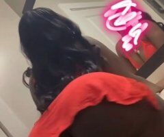 Fort Lauderdale Female Escort — Extended Incall or Car Fun, Video Verification - Image 5