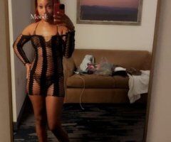 Tampa escorts - Discreet Tampa Outcall Female Escort — BJ, Oral, Anal, GFE & Car Play