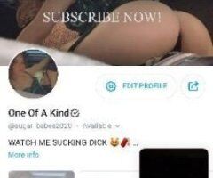 Albany NY Full Service Female Escort — Text Me (28) - Image 3