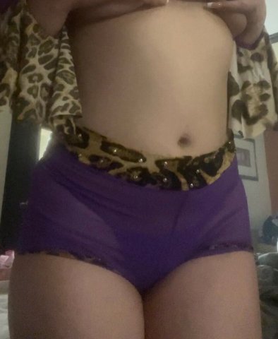 Luxury Moroccan Princess — Rochester MN Female Escort (Incall & Outcall) - 1