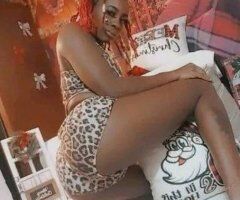 Jacksonville escorts - Jacksonville FL  QV Special — Exotic Coaco Chocolate Cat 2 Ride