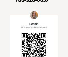 Chico Female Escort — BBJ, GFE & full-service special - Image 4