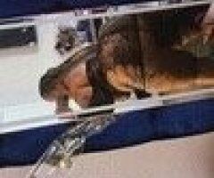 Houston Female Escort — Fluffy Outcall & Play Sessions - Image 5