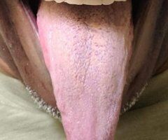 COME AND GET SOME FREE DICK!!! - Image 2
