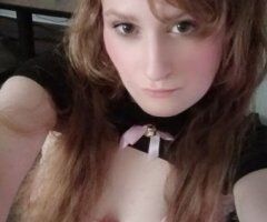 Charlotte escorts - Charlotte NC Neko Escort — Dani (blonde spinner) with incalls & outcalls