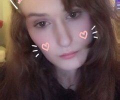 Charlotte NC Neko Escort — Dani (blonde spinner) with incalls & outcalls - Image 3