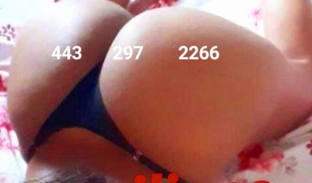 Luna  Latina Female Escort — In-calls only (27) - 1