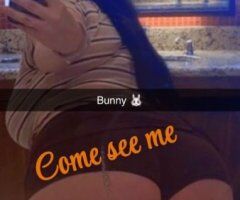 Minneapolis/St. Paul Hotel-Friendly Escort — Incalls, Outcalls, Car Call - Image 4