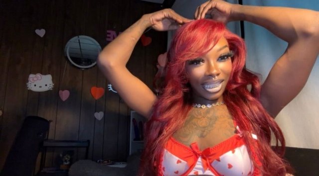 Chicago Female Escort — Live Facetime Shows & Scat Content - 1
