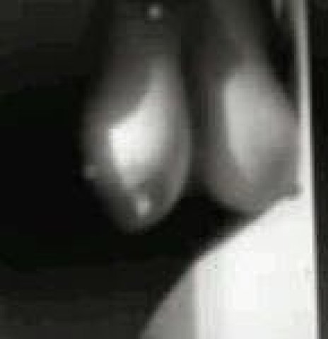 Portland Party Girl Female Escort — Incall Specials & Outcall Option - 1