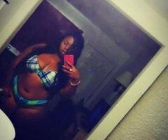 Waldorf in-town wet kitty ready now — call me - Image 6
