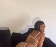 San Diego New Face In Town — Incalls, Outcalls, Car Meets & 2-Girl Special - Image 2