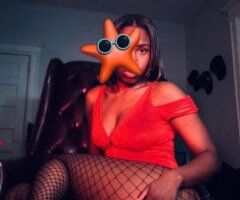 New Haven escorts - New Haven Black Beauty — Female Escort Quick Visit