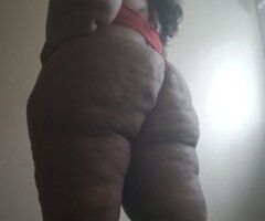 Detroit escorts - Mo Bunz — Stress Reliever Female Escort (Detroit) Outcalls