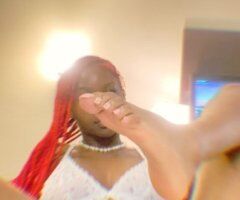 Memphis TN Incalls Only Upscale Petite Curvy Escort - Image 7