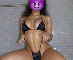North Bay Female Escort — No Anal, No BBJ, No Bare - Image 2